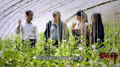 西游记之暗黑人参果,西游记中的神秘果实与命运之谜 第3张 西游记之暗黑人参果,西游记中的神秘果实与命运之谜 第3张